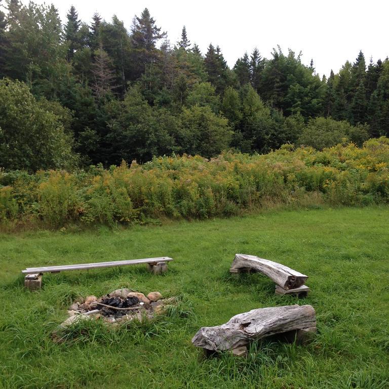 Breton Cove Farmhouse Guest House Indian Brook Exterior photo